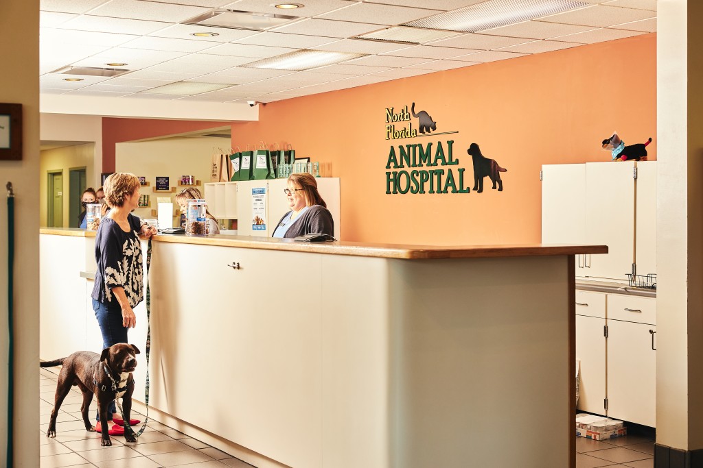 Vet Profile: North Florida Animal Hospital - Tallahassee Magazine