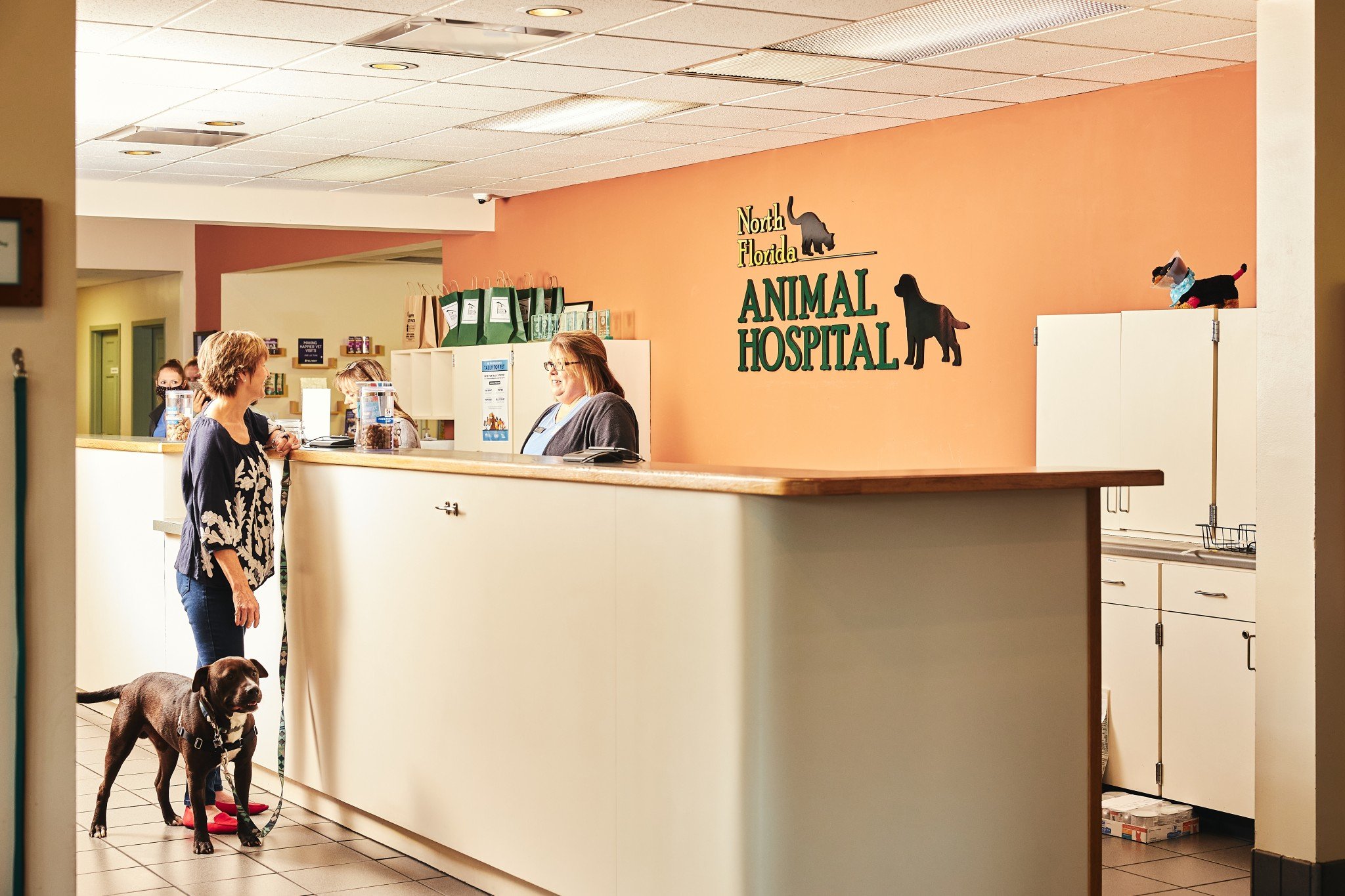 Vet Profile North Florida Animal Hospital Tallahassee Magazine