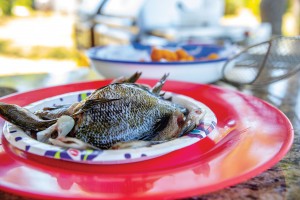 024 050821 Cooking Bream Fish Ccsz
