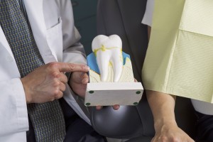 Dentist Showing Patient How To Care For Teeth With Display