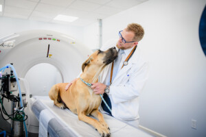 Capital Vet Specialists