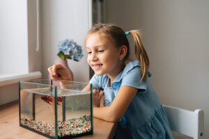 Aquarium