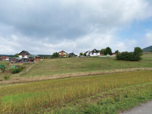 Going Home 6