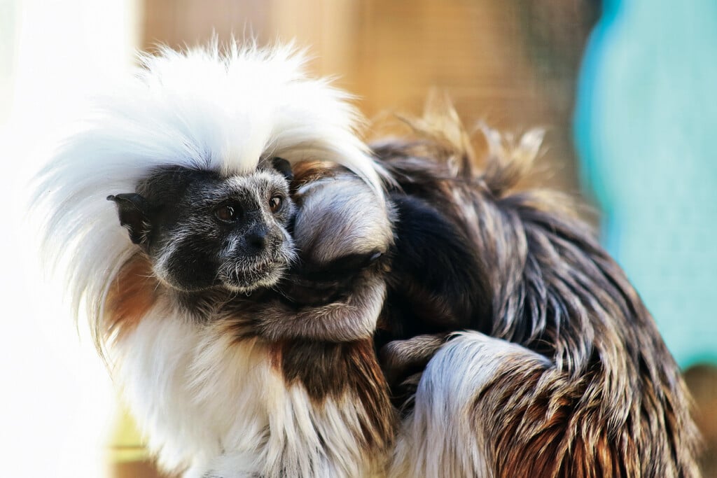 2025 02 26 14 29 27 630 Web