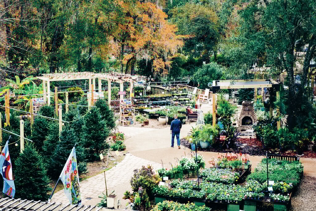 Esposito 11 26 19 39 Web