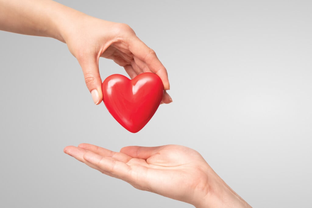 Adobestock 334019977 Web