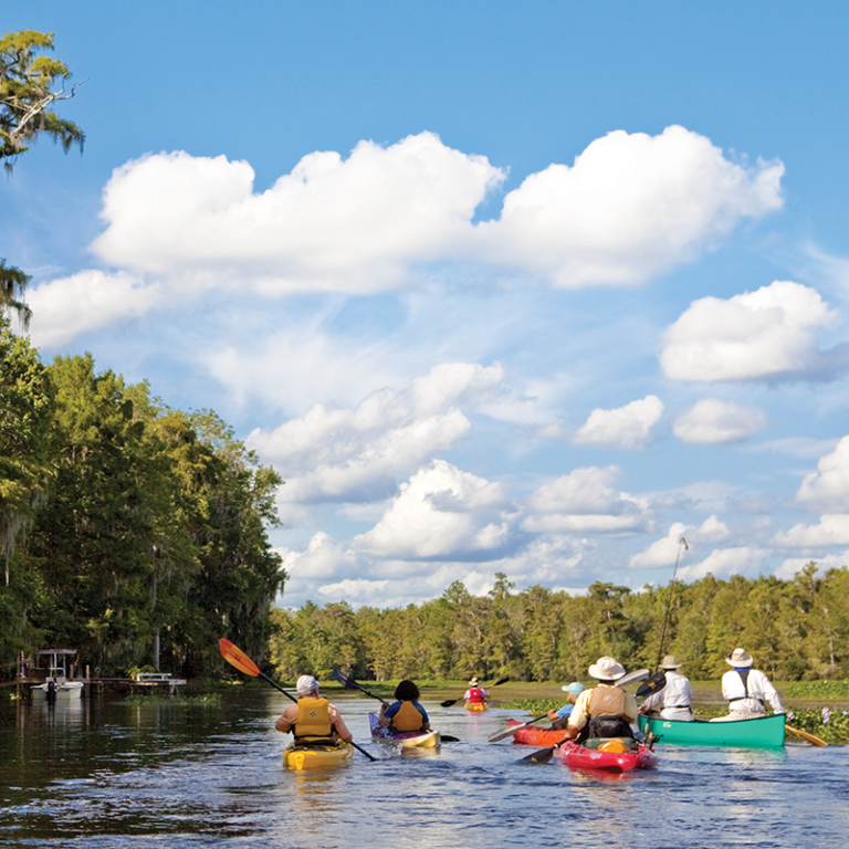 Paddling Around the Big Bend - Tallahassee Magazine