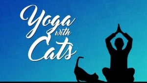 Yoga With Cats @ Great Plains SPCA | Mission | Kansas | United States
