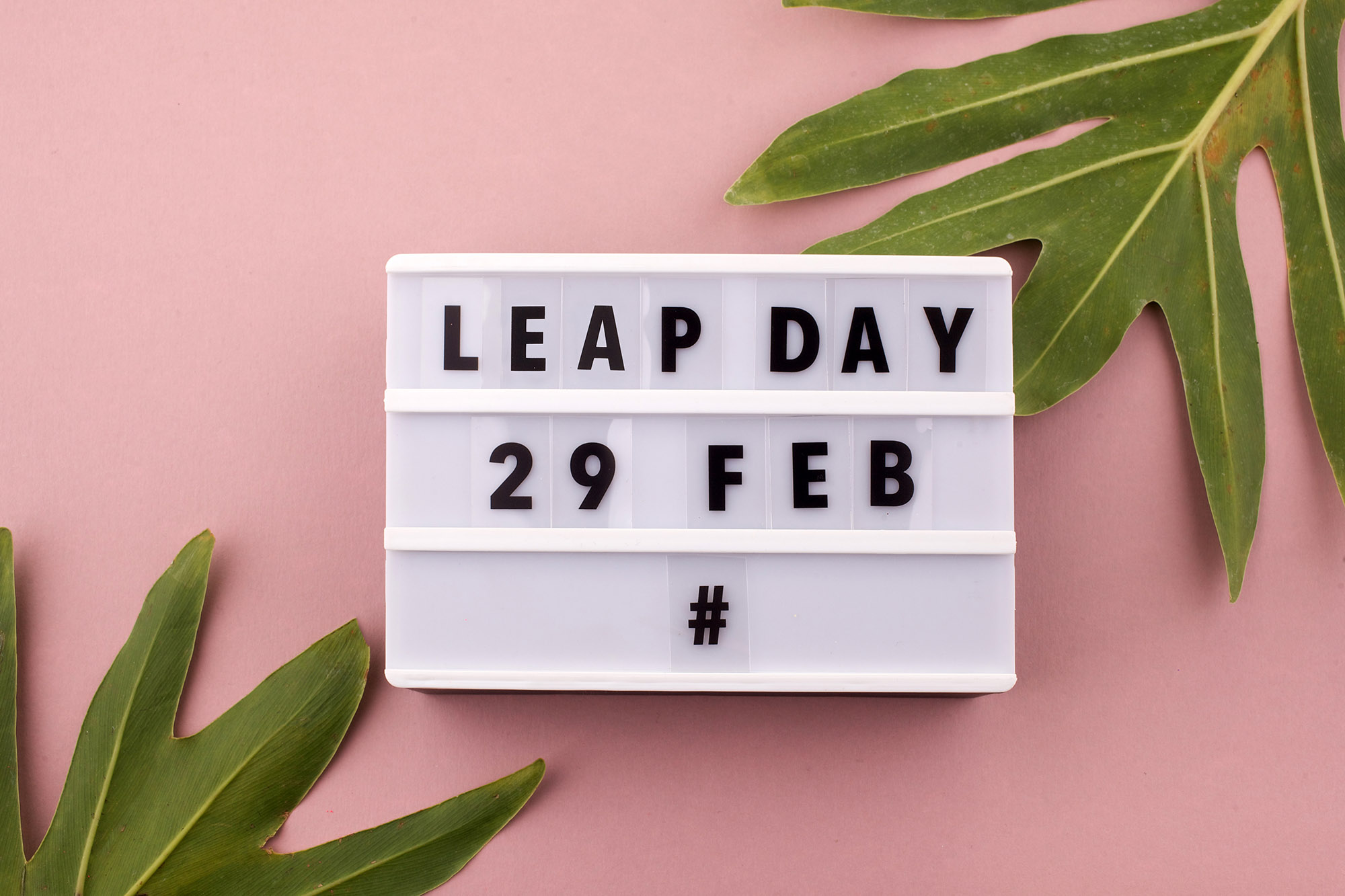Local businesses are celebrating Leap Day with freebies and deals