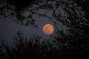 Supermoon 03