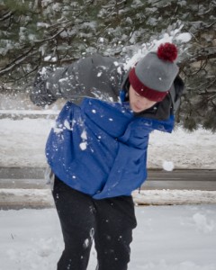 New Year's Day Snowstorm 2952