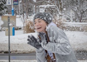 New Year's Day Snowstorm 3020