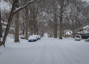 New Year's Day Snowstorm 3045