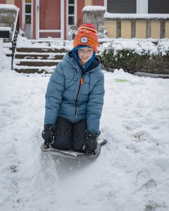 New Year's Day Snowstorm 3083