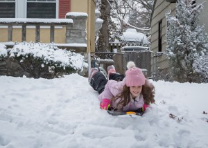 New Year's Day Snowstorm 3098