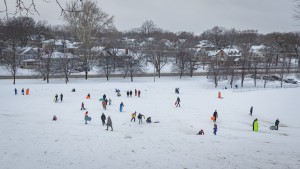 New Year's Day Snowstorm 3117