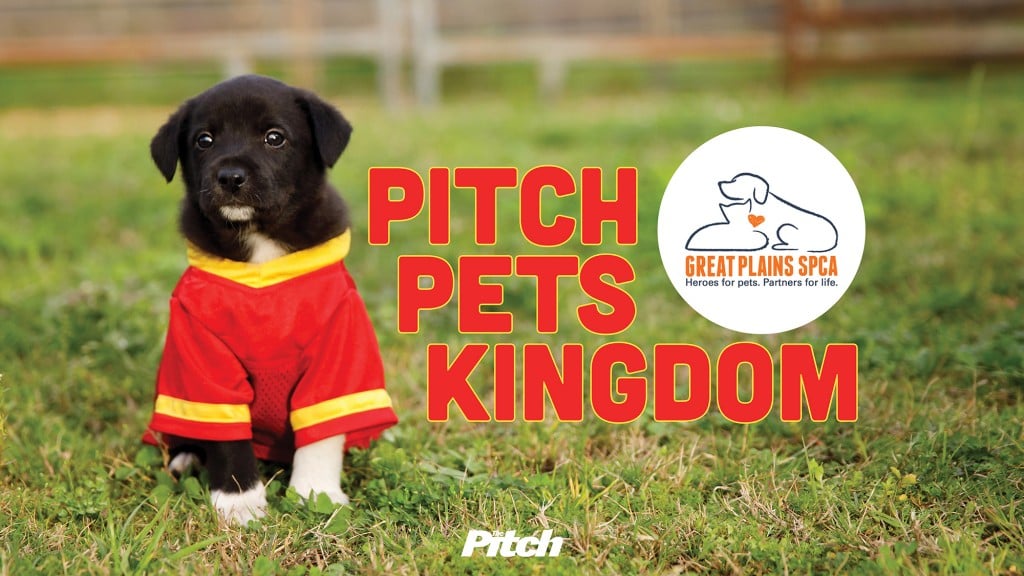 Pitch Pets Kingdom Header