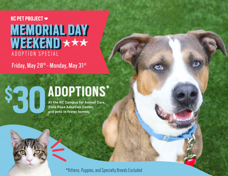 KC Pet Project offers $30 adoption special for Memorial Day Weekend