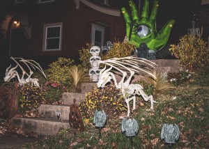 Halloween 9973