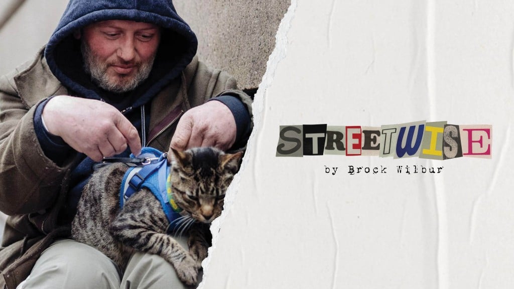 Streetwise Header Cat