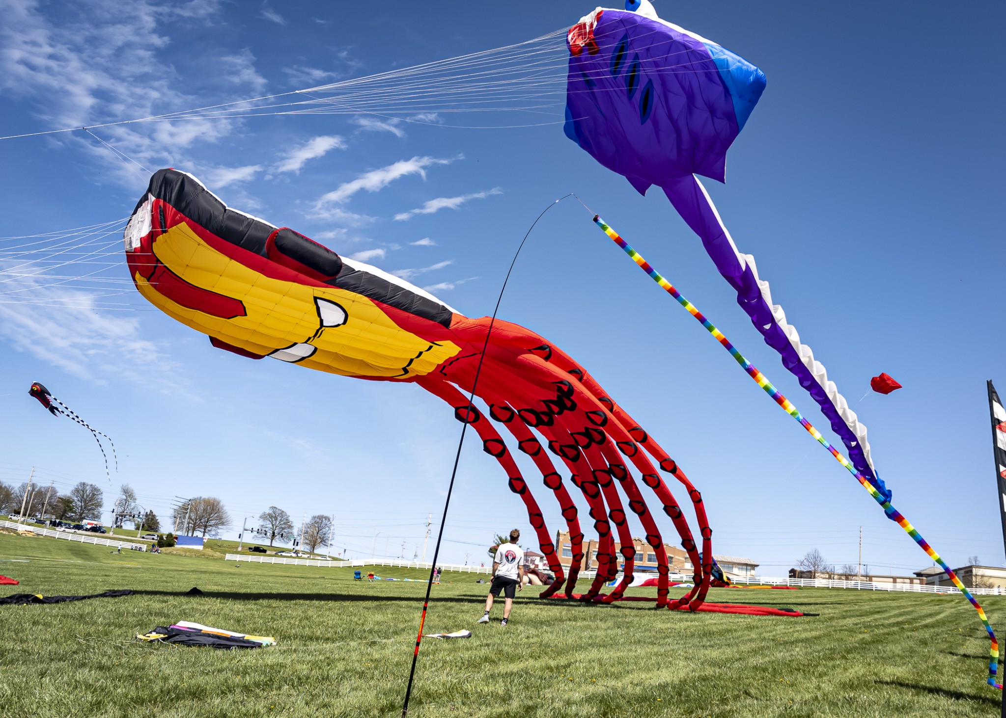 Photos Flights of Fancy Mega Kite Festival