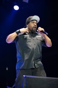 Ice Cube 9