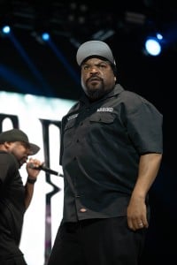 Ice Cube 8