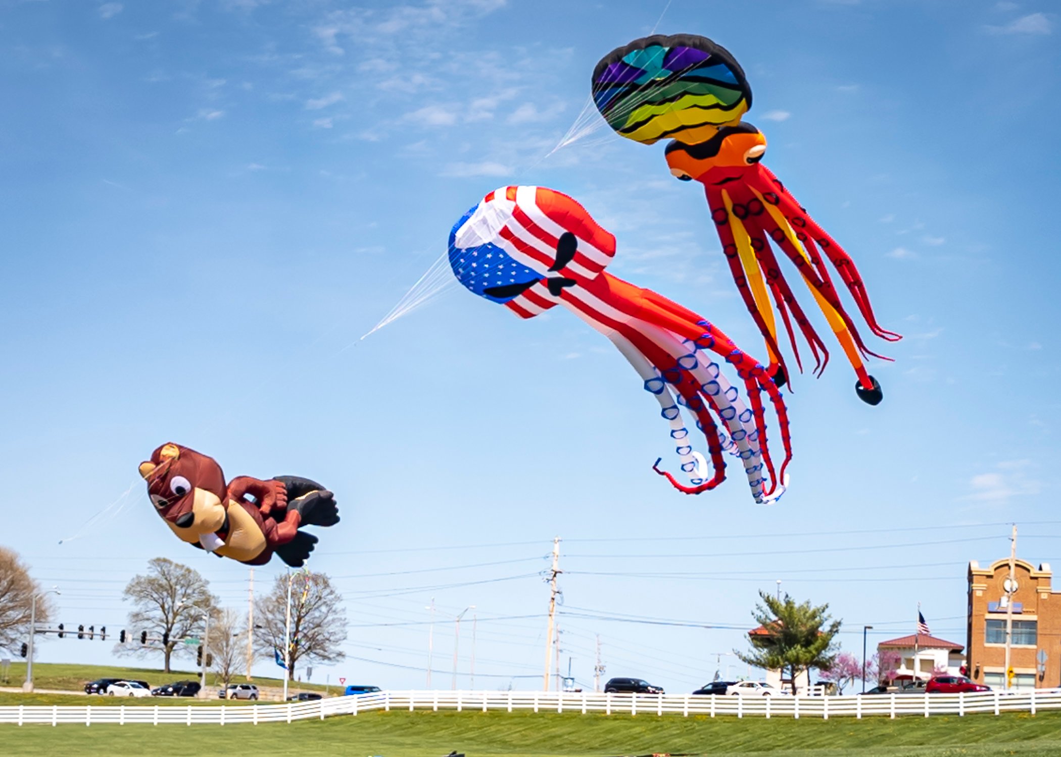 Photos Flights of Fancy Mega Kite Festival