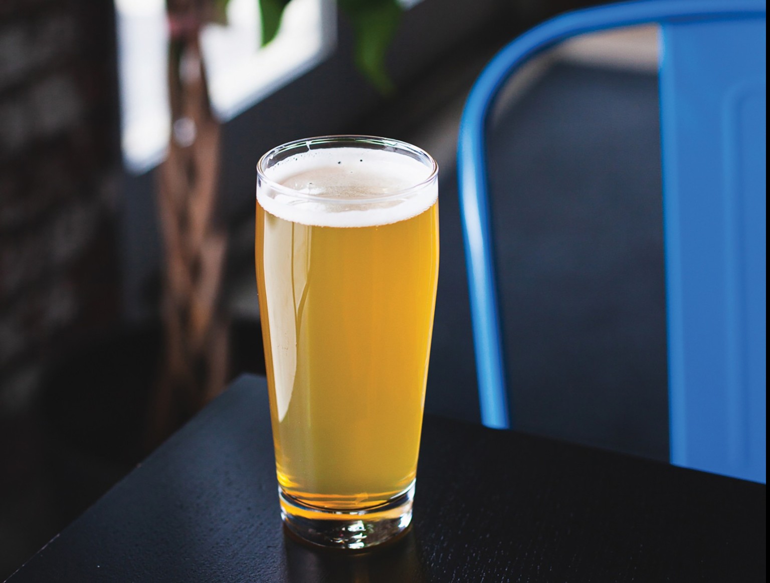 Drink This Now Snail Jail Pale Ale from Strange Days Brewing Co.