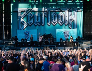 Beartooth 19