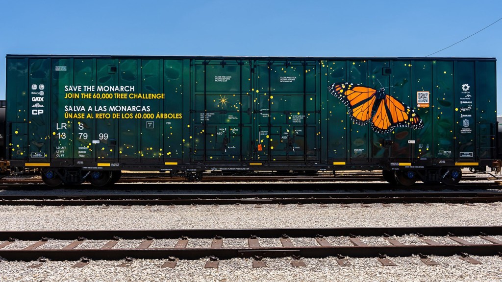Boxcar Tour