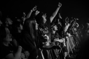 20221203 Dsc 8317