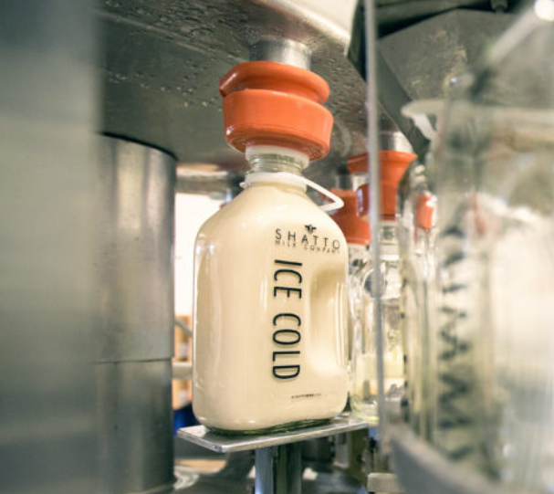 A machine fills a glass bottle of Shatto milk.