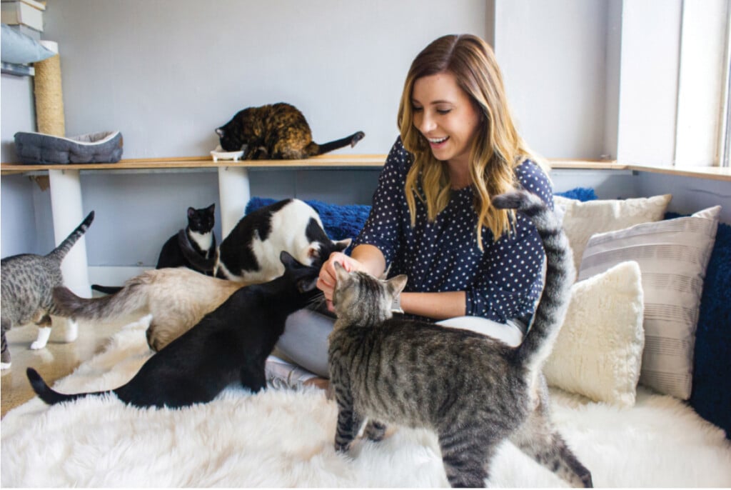 A Few Cats Cuddle Up To Owner Audrey Boese At Whiskers Cat Cafe Courtesy Of Kelcie Mckenney