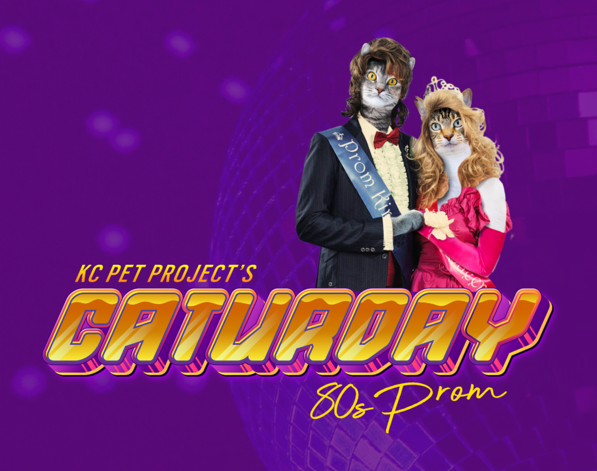 Creature Feature The Cat Prom Of Our Dreams creature-feature-the-cat-prom-of-our-dreams