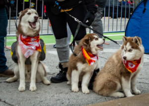Chiefs Super Bowl Parade 3600