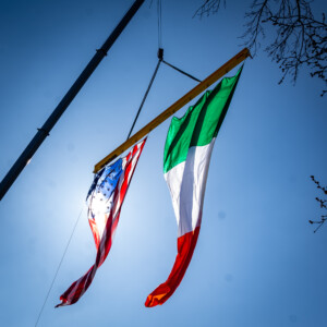 Terrabis St Pat Parade 8