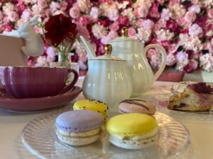 Assorted Macarons At Kate Smith Soiree