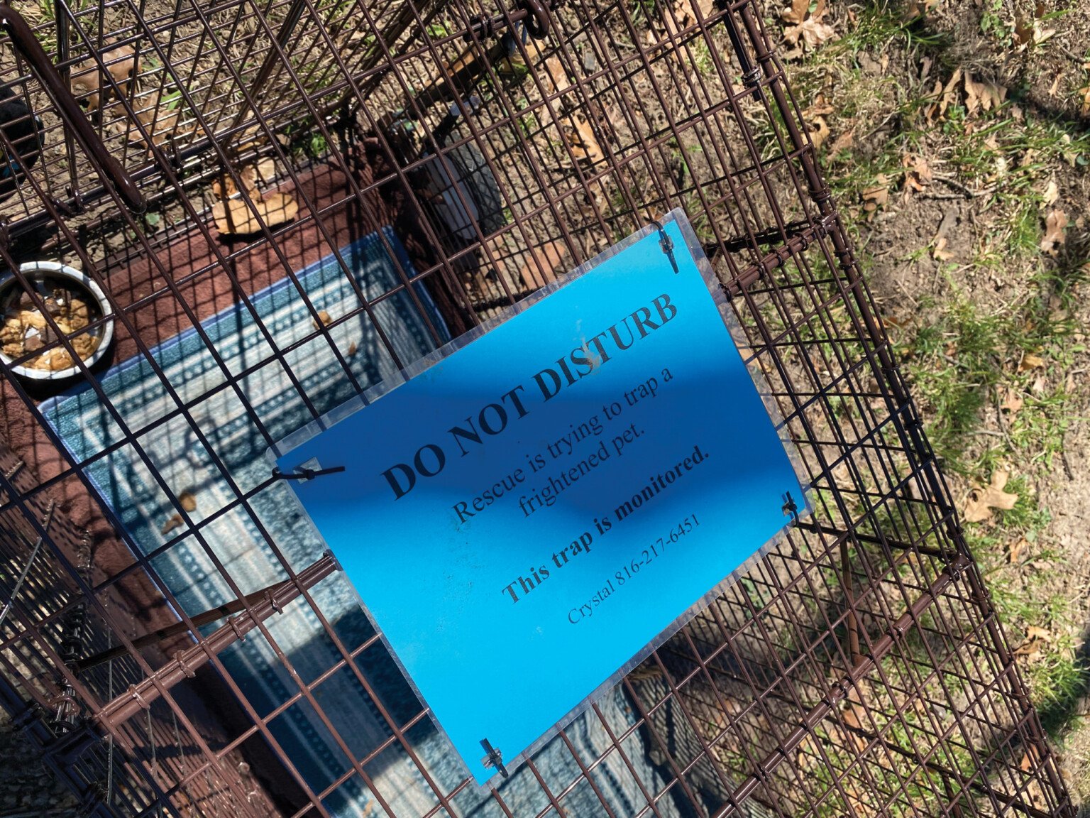 Trap it Up How KC’s dog and cat trappers find the metro’s lost and