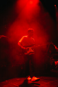 The Wldlfe 11