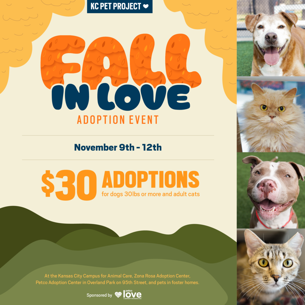 Fallinloveadoptionevent