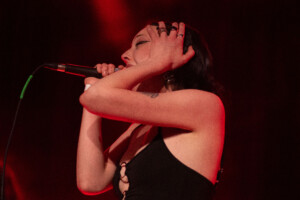 Dsc0331