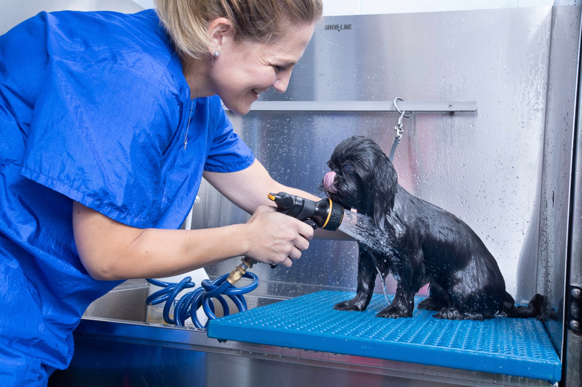 Kc cares pawsperity