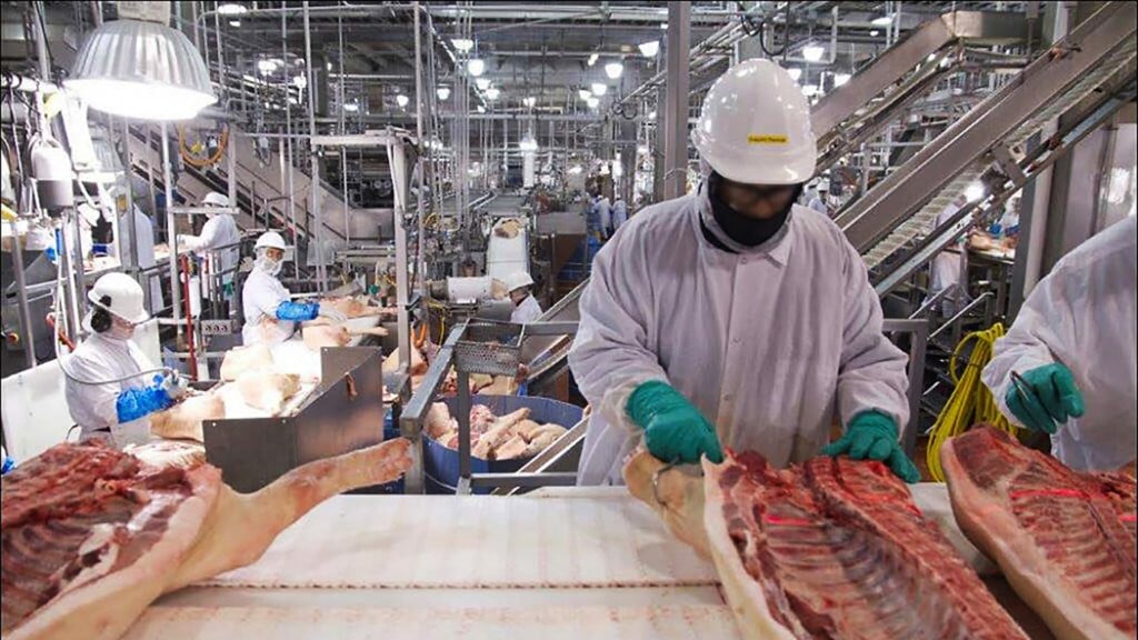 Meatpacking Via Theconversation 1024x716 1 2048x1152 1
