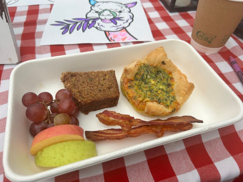 Boxed Brunch At Colonial Gardens Comes With Alpaca Themed Coloring Sheets Photo By Lauren Textor