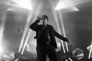 Dayseeker 12