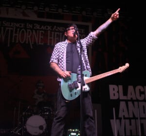 Hawthorne Heights 9
