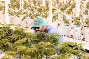 Showmeorganics Pitch Zachbauman 20240806 33