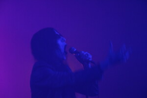 Img 6017