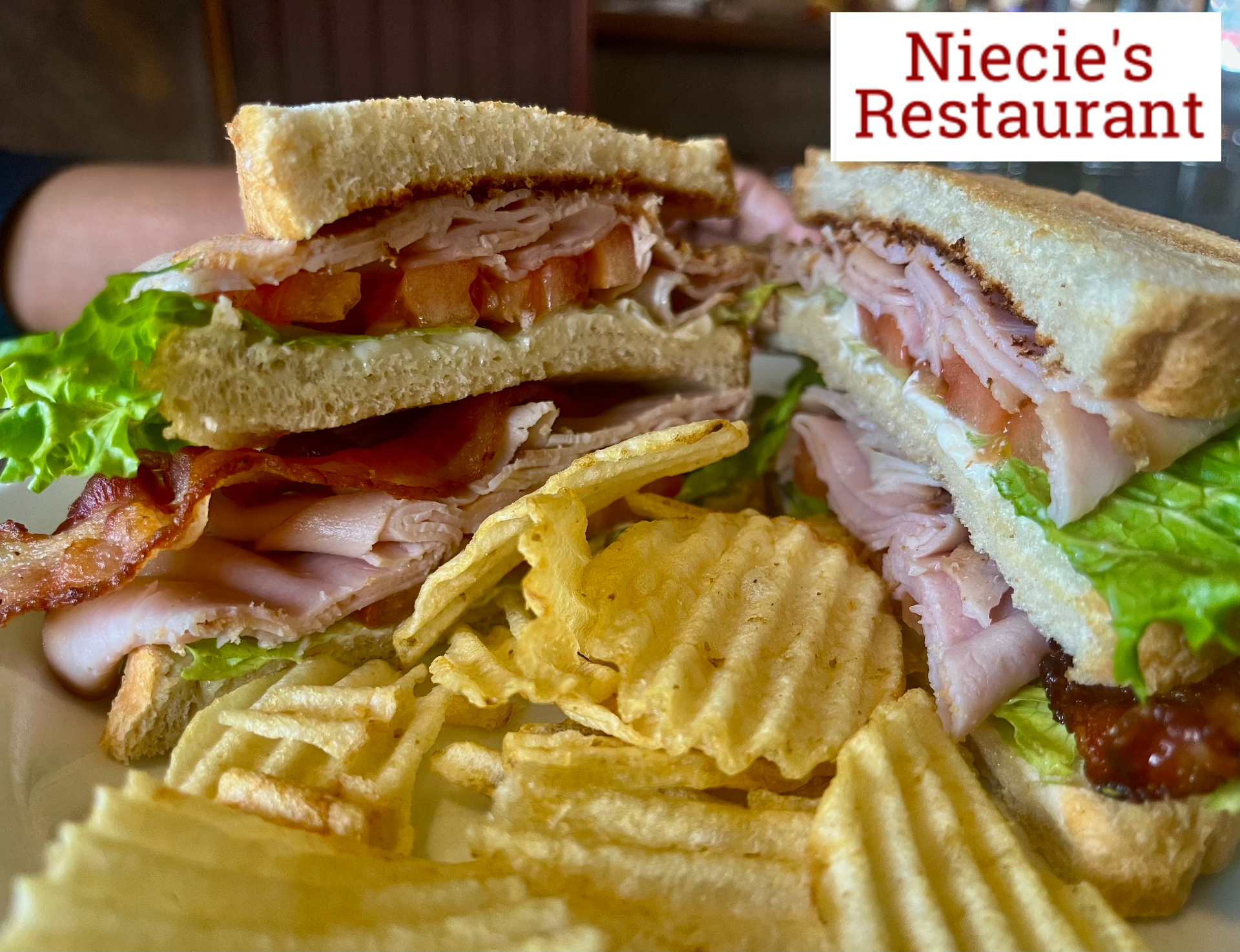 Nieceis Update Wlogo